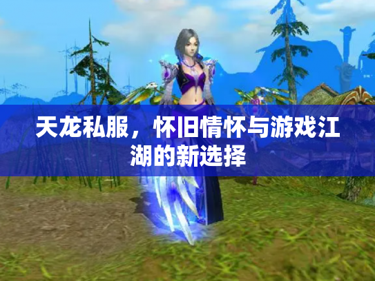 天龙私服，怀旧情怀与游戏江湖的新选择