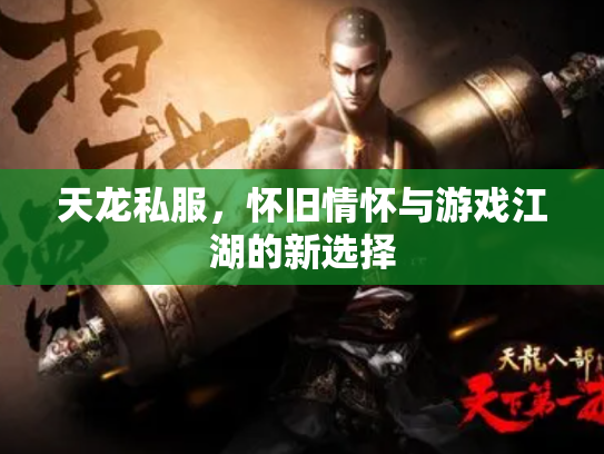 天龙私服，怀旧情怀与游戏江湖的新选择