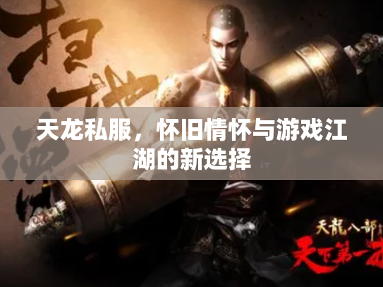 天龙私服，怀旧情怀与游戏江湖的新选择