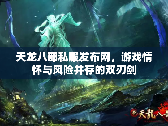 天龙八部私服发布网，游戏情怀与风险并存的双刃剑