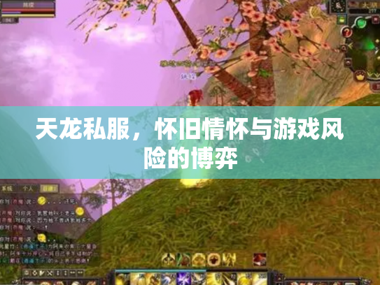 天龙私服，怀旧情怀与游戏风险的博弈