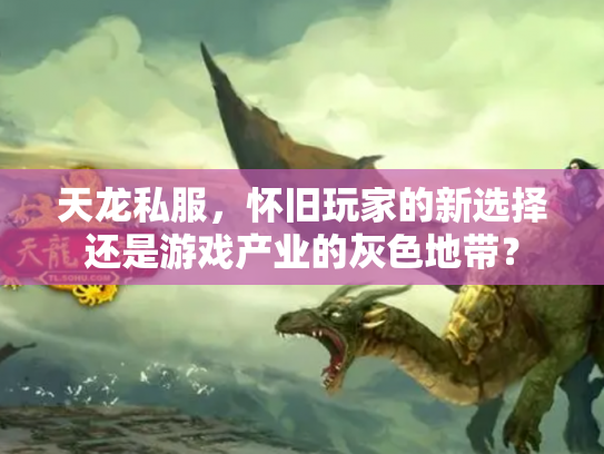 天龙私服，怀旧玩家的新选择还是游戏产业的灰色地带？