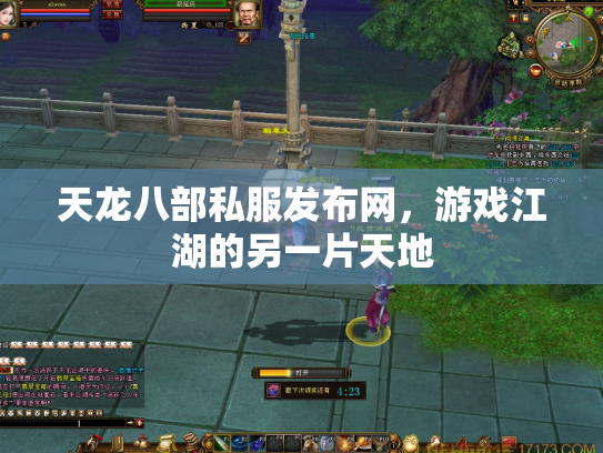 天龙八部私服发布网，游戏江湖的另一片天地