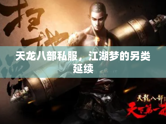 天龙八部私服，江湖梦的另类延续