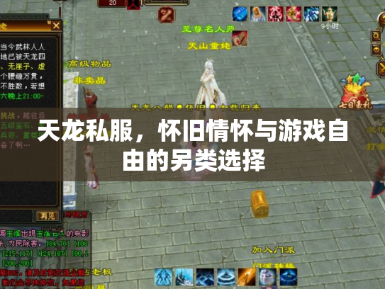 天龙私服，怀旧情怀与游戏自由的另类选择