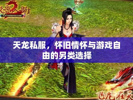 天龙私服，怀旧情怀与游戏自由的另类选择