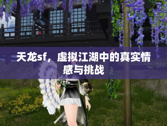 天龙sf，虚拟江湖中的真实情感与挑战