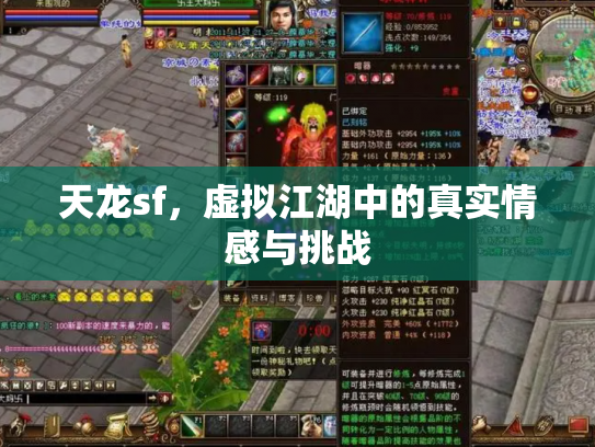 天龙sf，虚拟江湖中的真实情感与挑战