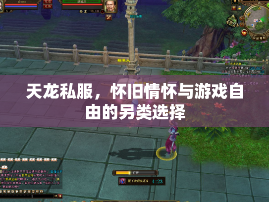天龙私服，怀旧情怀与游戏自由的另类选择
