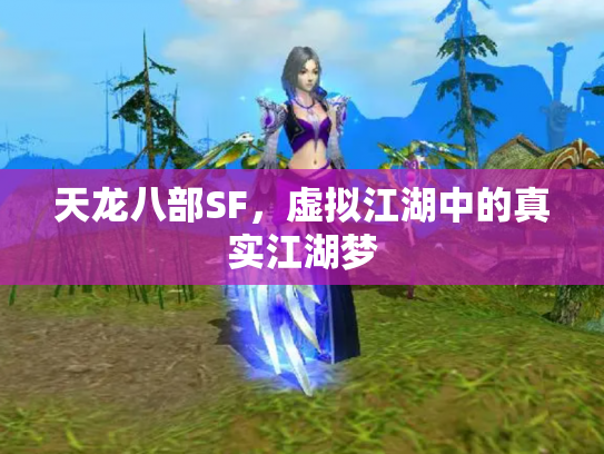 天龙八部SF，虚拟江湖中的真实江湖梦