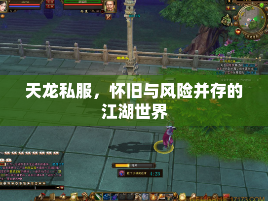 天龙私服，怀旧与风险并存的江湖世界