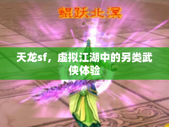 天龙sf，虚拟江湖中的另类武侠体验