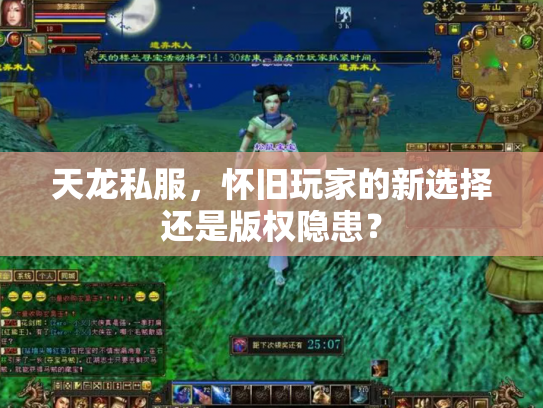 天龙私服，怀旧玩家的新选择还是版权隐患？