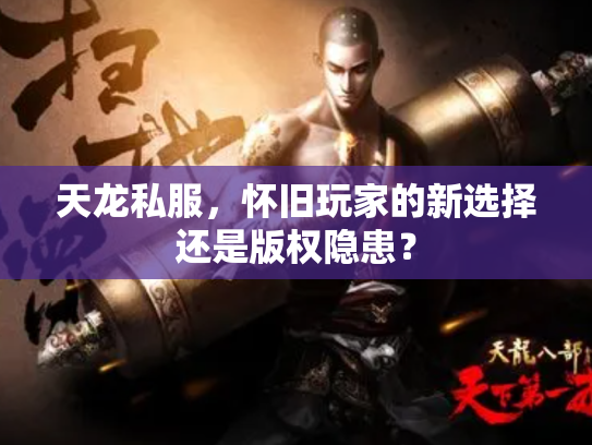 天龙私服，怀旧玩家的新选择还是版权隐患？