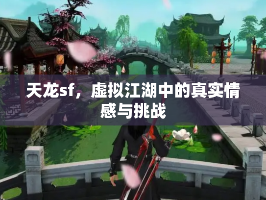 天龙sf，虚拟江湖中的真实情感与挑战