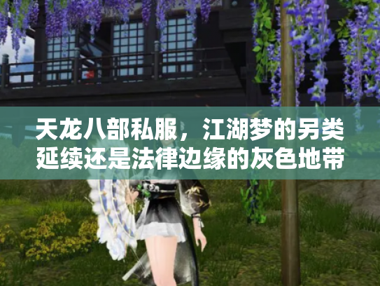 天龙八部私服，江湖梦的另类延续还是法律边缘的灰色地带？