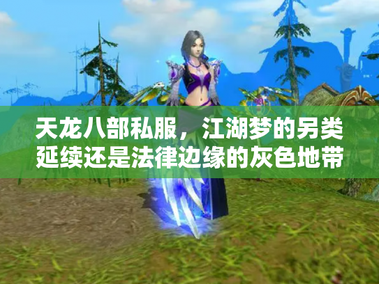 天龙八部私服，江湖梦的另类延续还是法律边缘的灰色地带？