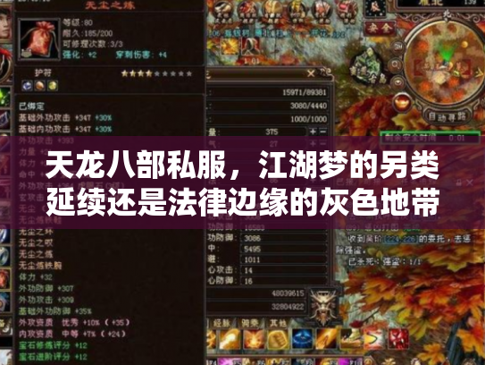 天龙八部私服，江湖梦的另类延续还是法律边缘的灰色地带？