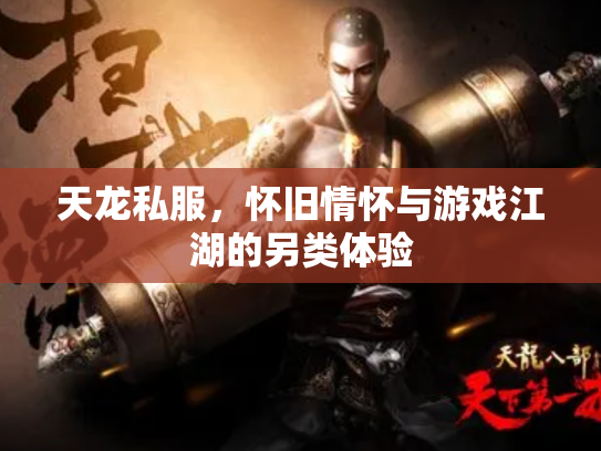 天龙私服，怀旧情怀与游戏江湖的另类体验