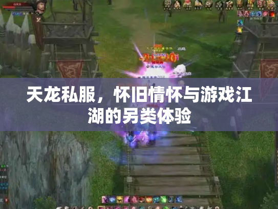 天龙私服，怀旧情怀与游戏江湖的另类体验