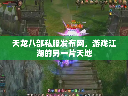 天龙八部私服发布网，游戏江湖的另一片天地