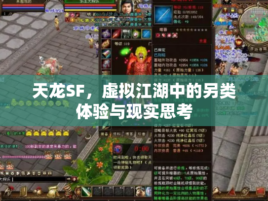 天龙SF，虚拟江湖中的另类体验与现实思考