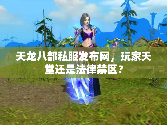 天龙八部私服发布网，玩家天堂还是法律禁区？