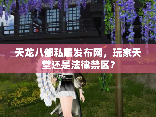 天龙八部私服发布网，玩家天堂还是法律禁区？