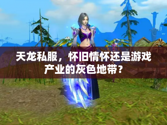 天龙私服，怀旧情怀还是游戏产业的灰色地带？