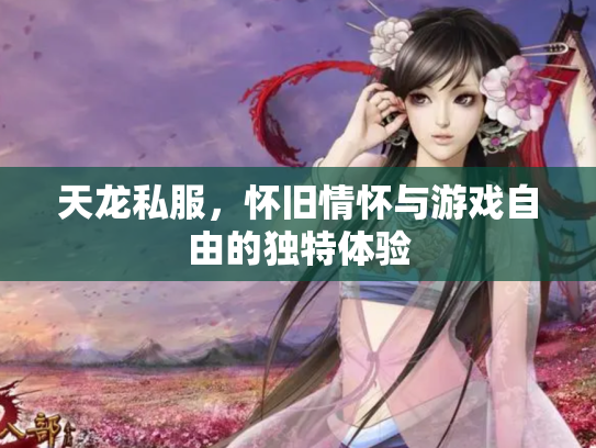 天龙私服，怀旧情怀与游戏自由的独特体验