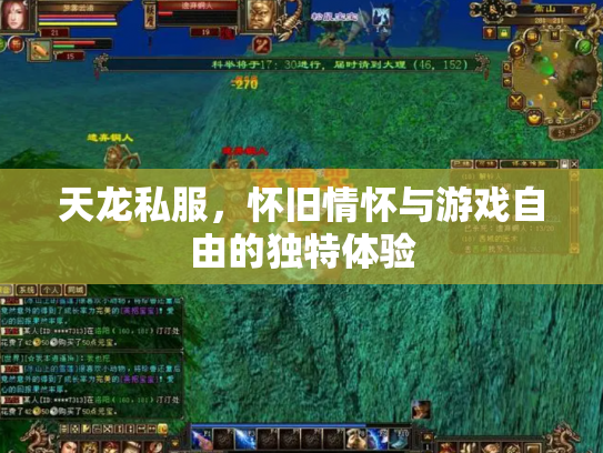 天龙私服，怀旧情怀与游戏自由的独特体验