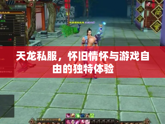 天龙私服，怀旧情怀与游戏自由的独特体验