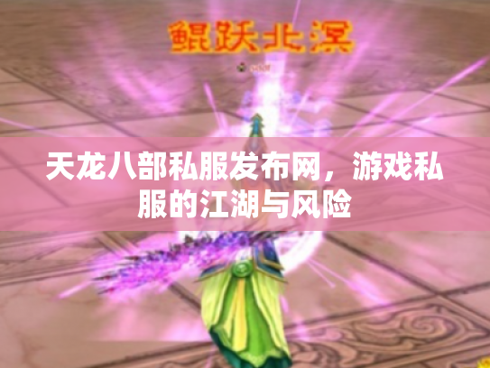 天龙八部私服发布网，游戏私服的江湖与风险