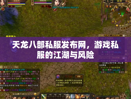 天龙八部私服发布网，游戏私服的江湖与风险