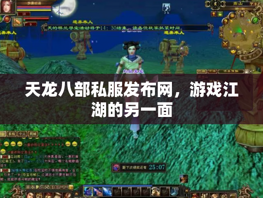 天龙八部私服发布网，游戏江湖的另一面