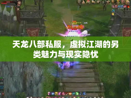 天龙八部私服，虚拟江湖的另类魅力与现实隐忧