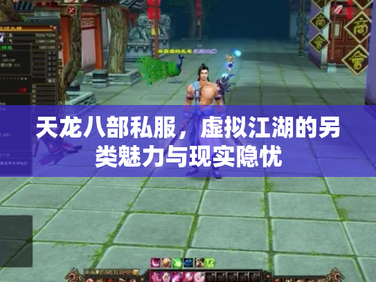 天龙八部私服，虚拟江湖的另类魅力与现实隐忧