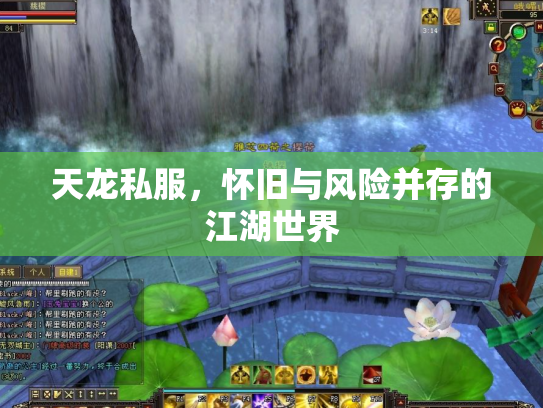 天龙私服，怀旧与风险并存的江湖世界
