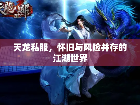 天龙私服，怀旧与风险并存的江湖世界