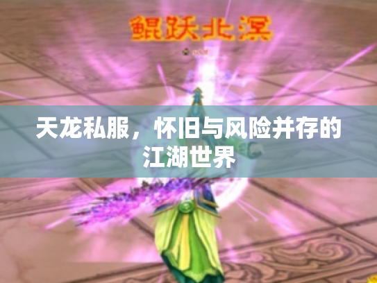 天龙私服，怀旧与风险并存的江湖世界