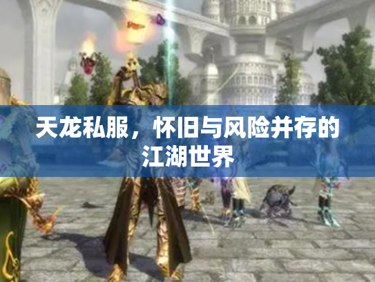 天龙私服，怀旧与风险并存的江湖世界
