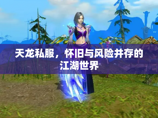 天龙私服，怀旧与风险并存的江湖世界