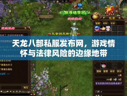 天龙八部私服发布网，游戏情怀与法律风险的边缘地带
