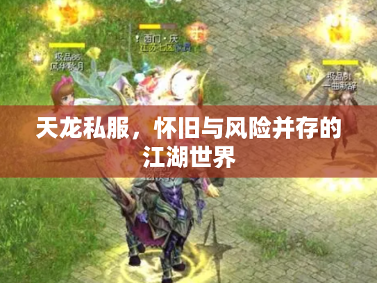 天龙私服，怀旧与风险并存的江湖世界