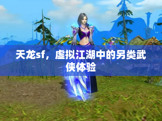 天龙sf，虚拟江湖中的另类武侠体验