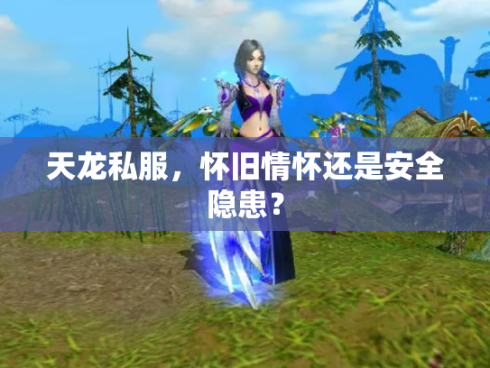 天龙私服，怀旧情怀还是安全隐患？