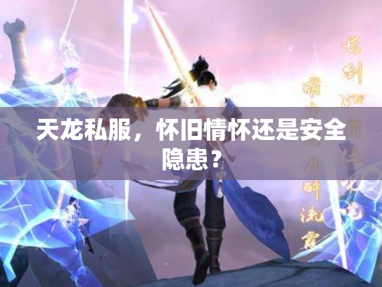 天龙私服，怀旧情怀还是安全隐患？