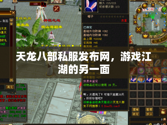 天龙八部私服发布网，游戏江湖的另一面