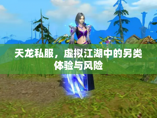 天龙私服，虚拟江湖中的另类体验与风险