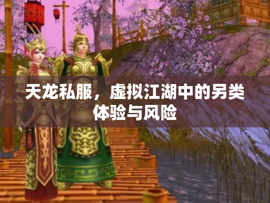 天龙私服，虚拟江湖中的另类体验与风险